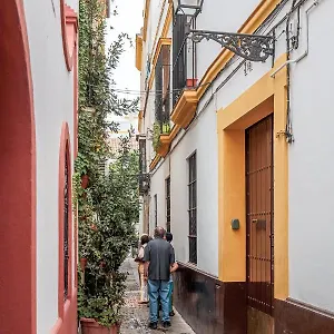 https://susona-oasis-de-paz-en-barrio-santa-cruz.es-andalucia.com
